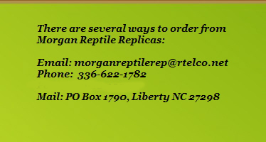 There are several ways to order from













Morgan Reptile Replicas:



























Email: morganreptilerep@rtelco.net













Phone:  336-622-1782

























Mail: PO Box 1790, Liberty NC 27298